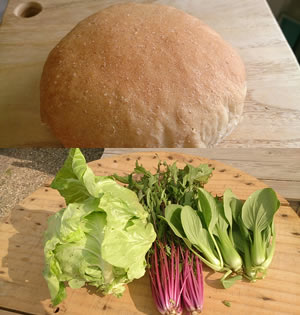 無添加素材・無農薬野菜